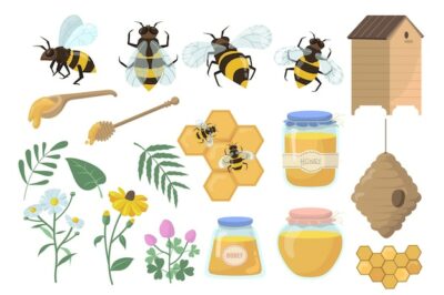 Free Vector | Bees and honey set. flowers, beehive and honeycombs, jar, pot and dipper isolated on white background.
