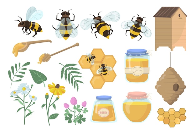 Free Vector | Bees and honey set. flowers, beehive and honeycombs, jar, pot and dipper isolated on white background.