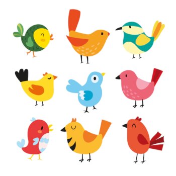 Free Vector | Birds illustrations collection
