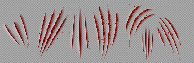 Free Vector | Bloody claw marks realistic png 3d vector