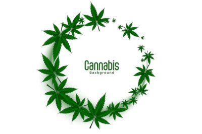 Free Vector | Cannabis or marijuana weed leaves frames background design