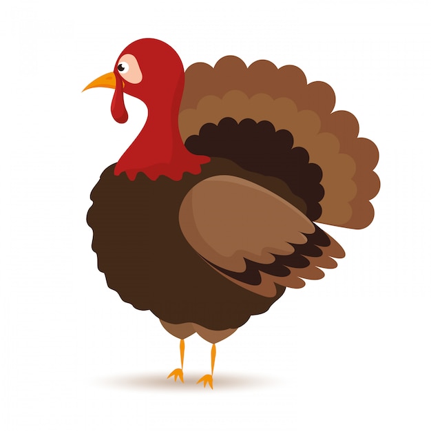 Free Vector | Cartoon turkey