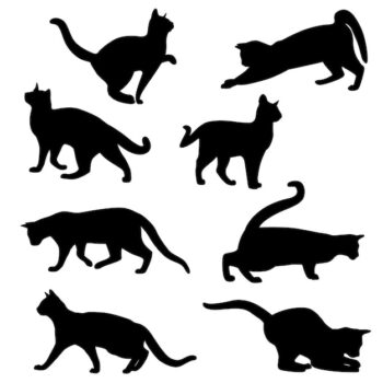 Free Vector | Cat silhouette set vector illustration