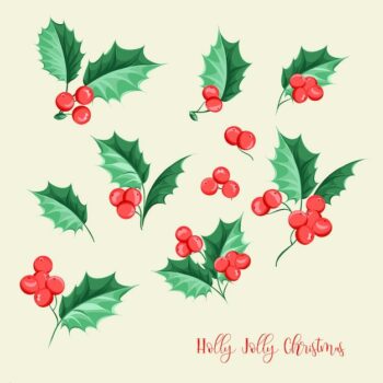 Free Vector | Christmas mistletoe elements set