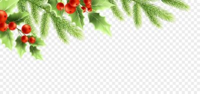 Free Vector | Christmas realistic decorations banner design. holly tree branches with green leaves and red berries, fir twigs on transparent background. greeting card, poster design element. color isolated vector