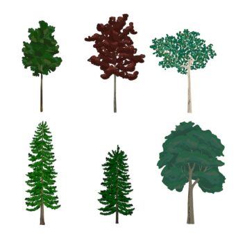 Free Vector | Collection of pine and leaf tree illustrations