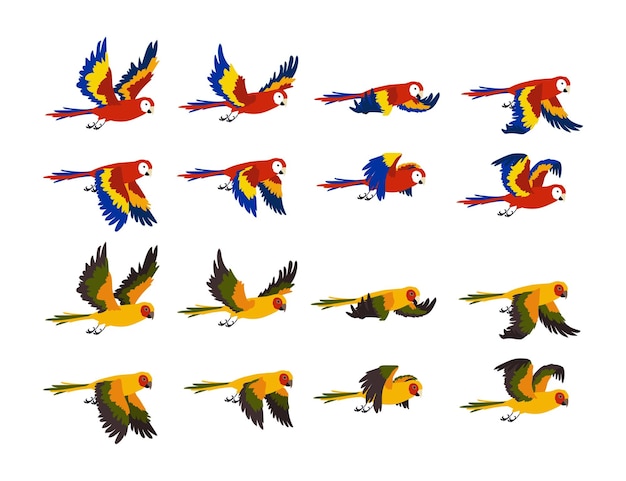 Free Vector | Colorful tropical parrots flying cartoon illustration set