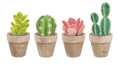 Free Vector | Cute collection of cactus in watercolor