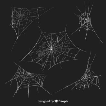 Free Vector | Detailed halloween cobweb collection