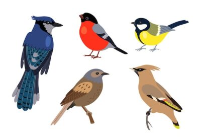 Free Vector | Different kinds of bird cartoon illustration set. tomtit, robin, starling, woodpecker and sparrow sitting on tree branch isolated on white background. winter birds concept