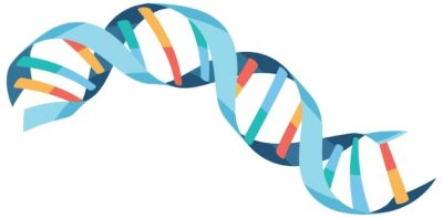 Free Vector | Dna helix symbol isolated on white background