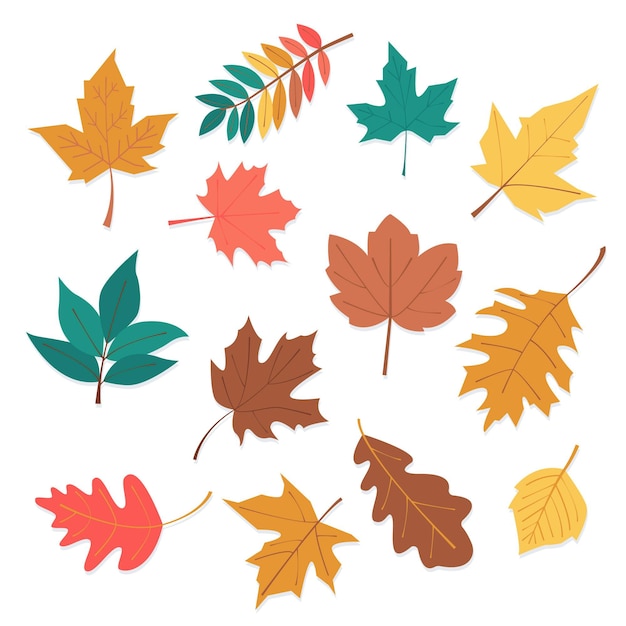 Free Vector | Flat design autumn leaves collection