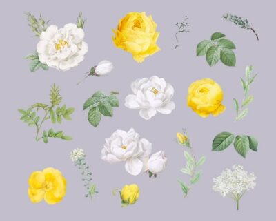 Free Vector | Floral design background