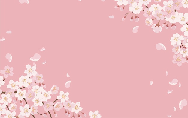 Free Vector | Floral with cherry blossoms in full bloom on a pink.