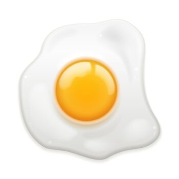 Free Vector | Fried egg isolated
