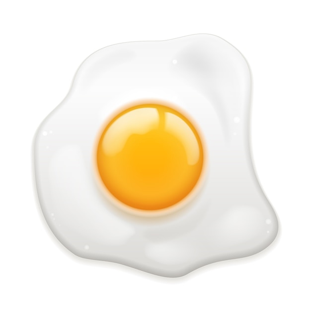 Free Vector | Fried egg isolated