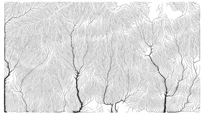 Free Vector | Growth pattern generative branching structure organic net of vessels texture