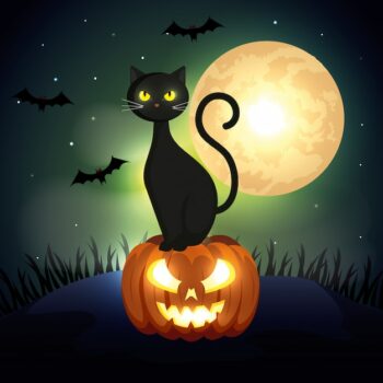 Free Vector | Halloween cat over pumpkin in dark night