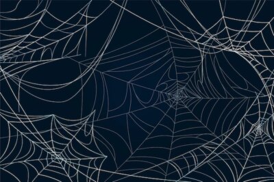 Free Vector | Halloween cobweb background