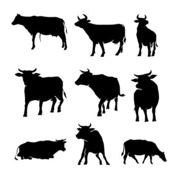 Free Vector | Hand drawn animal silhouette