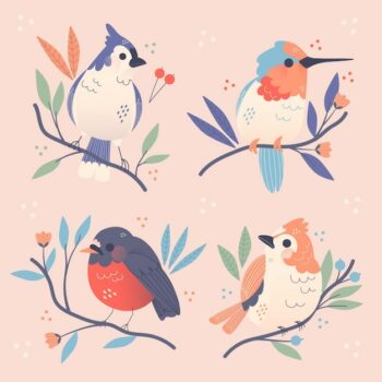 Free Vector | Hand drawn bird collection