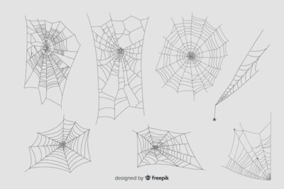 Free Vector | Hand drawn cobweb collection