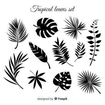 Free Vector | Hand drawn collection of tropical leaves