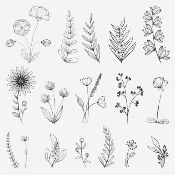 Free Vector | Hand drawn flower collection illustration