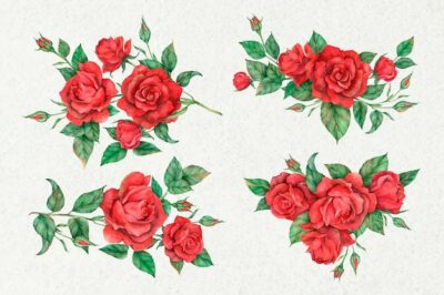 Free Vector | Hand drawn vector red rose flower set