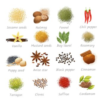 Free Vector | Icons set with titles of piquant food ingredients and fragrant spices realistic