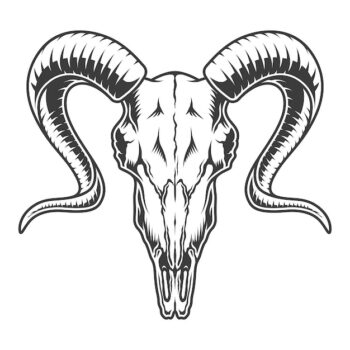 Free Vector | Monochrome goat skull illustration