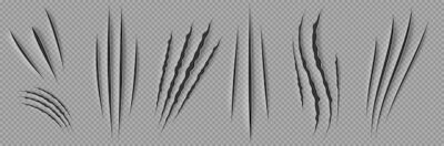 Free Vector | Monster claw scratches wild animal nail rips set