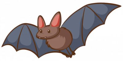 Free Vector | One bat flying on white background