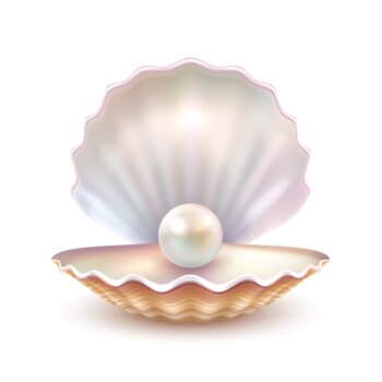 Free Vector | Pearl shell realistic close up image