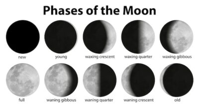 Free Vector | Phases of the moon