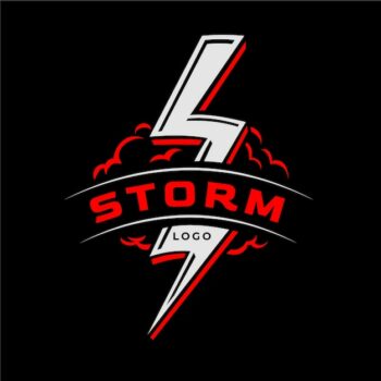 Free Vector | Professional storm logo template