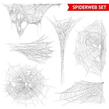 Free Vector | Realistic spider web cobweb set