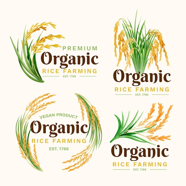 Free Vector | Rice logo collection