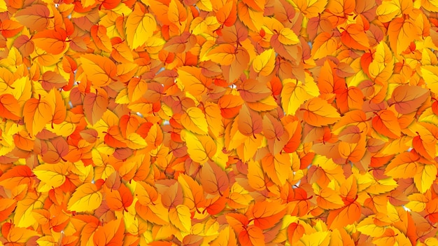 Free Vector | Seamless autumn leaves horizontal fill banner advertising template with golden autumn fall