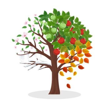 Free Vector | Seasons tree. spring summer autumn and winter, leaf plant, snow and flower, vector illustration