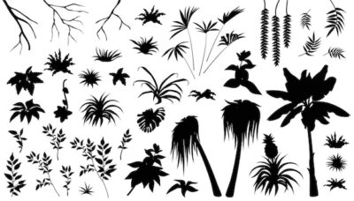 Free Vector | Set of silhouettes leafs palm and liana