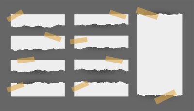 Free Vector | Set of tape torn ripped paper sheets