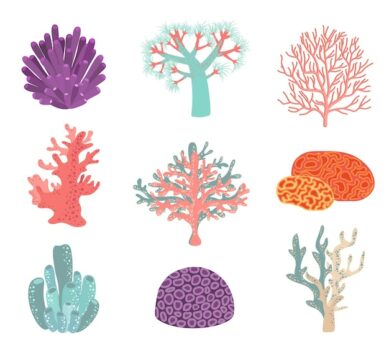 Free Vector | Set of underwater color coral elements