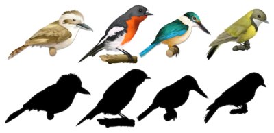Free Vector | Silhouette, color and outline version of birds