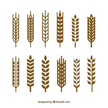 Free Vector | Silhouette wheat collection