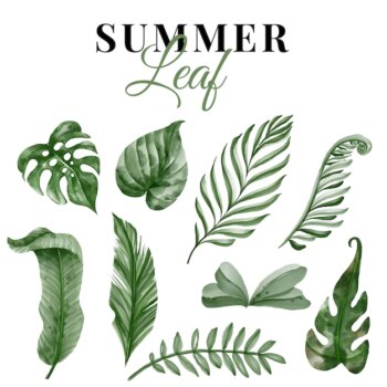 Free Vector | Summer greenery tropical leaf isolated set