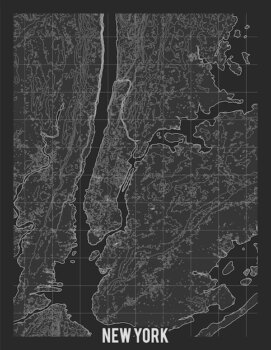 Free Vector | Topographic map of new york