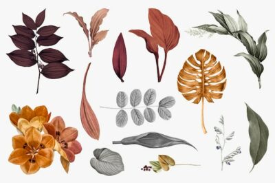 Free Vector | Tropical leaves collection set