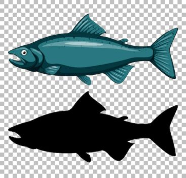 Free Vector | Tuna fish with its silhouette on transparent