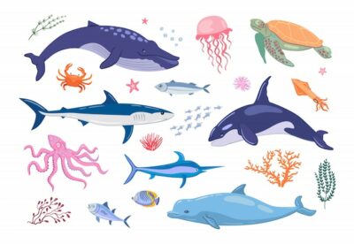 Free Vector | Various marine animals flat icon set